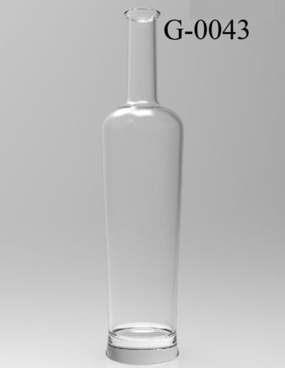 g 0043