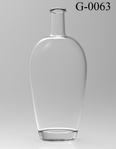 g 0063