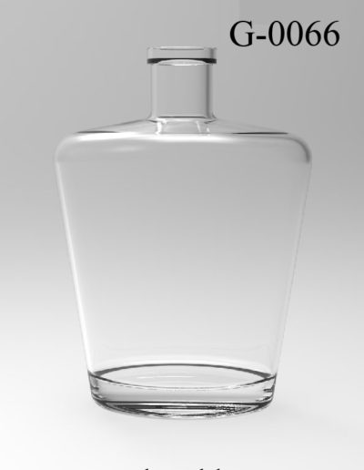 g 0066