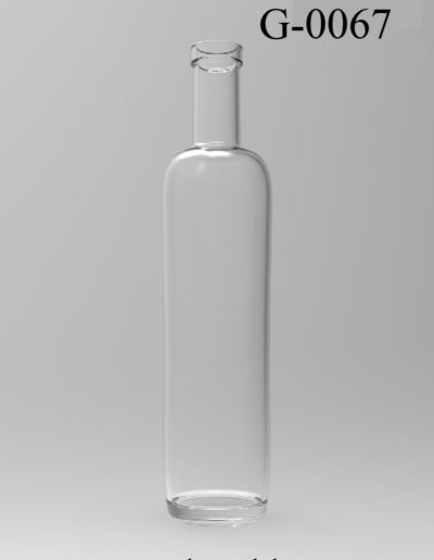 g 0067