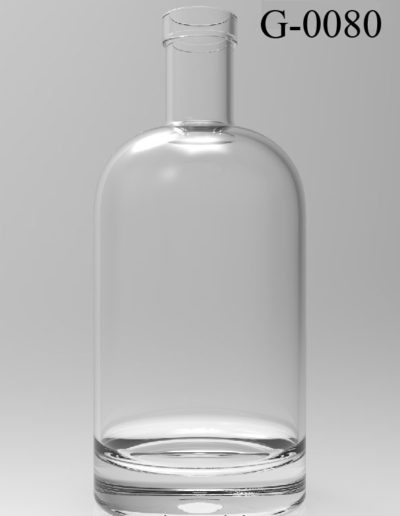 g 0080