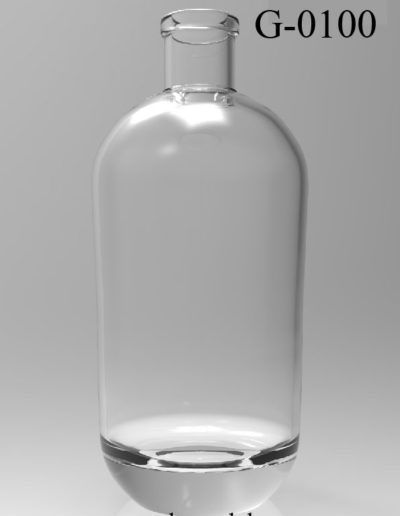 g 0100