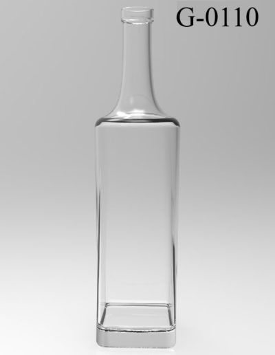 g 0110 0