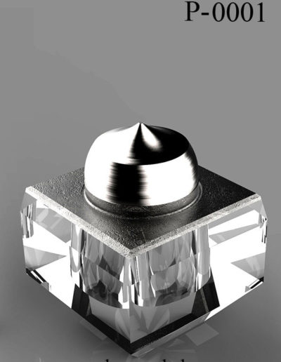 p 0001