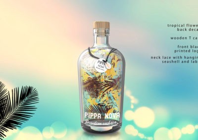 pippa nova design project showcase 2 1