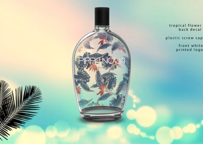 pippa nova design project showcase 3 1