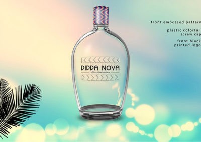 pippa nova design project showcase 4 1