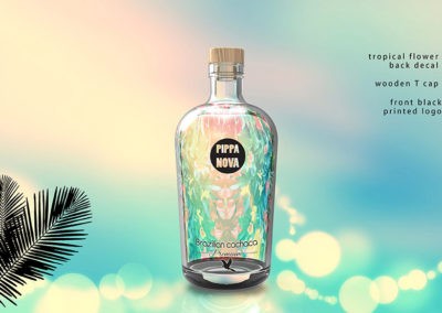 pippa nova design project thumbnail 2