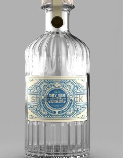 Vodka Bottle v-0001
