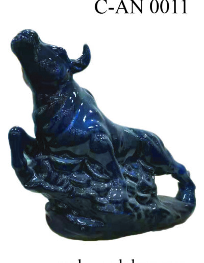 C AN 0011 01